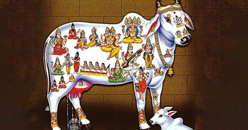 Kamdhenu Homam